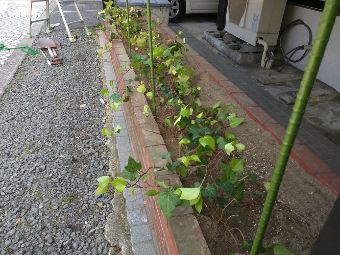 IMG_20150508_133423.jpg