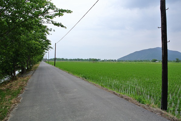 s-DSC_0226.jpg